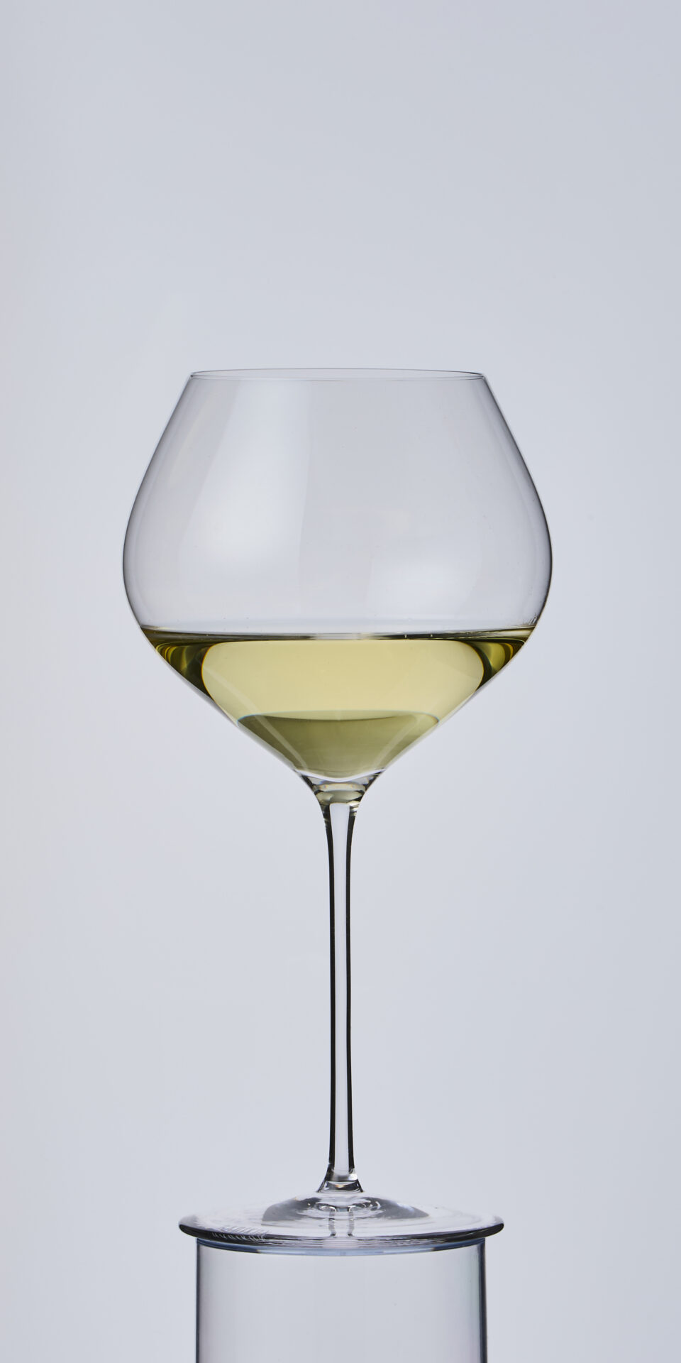 ソーヴィニヨン・ブラン25